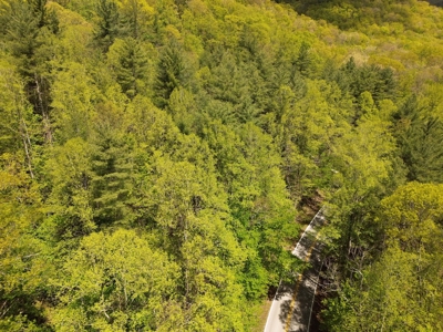 Wooded Off Grid Land Adjoining National Forest, Damascus VA! - image 17