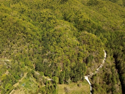 Wooded Off Grid Land Adjoining National Forest, Damascus VA! - image 1