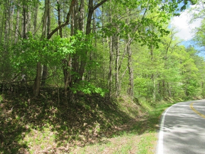 Wooded Off Grid Land Adjoining National Forest, Damascus VA! - image 23