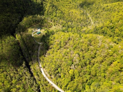 Wooded Off Grid Land Adjoining National Forest, Damascus VA! - image 9
