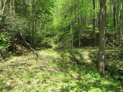 Wooded Off Grid Land Adjoining National Forest, Damascus VA! - image 18