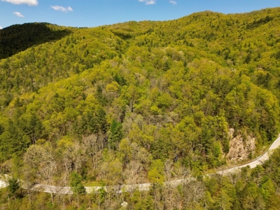 Wooded Off Grid Land Adjoining National Forest, Damascus VA! - image 13