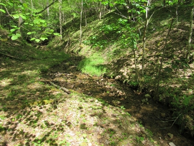 Wooded Off Grid Land Adjoining National Forest, Damascus VA! - image 20