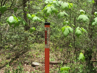Wooded Off Grid Land Adjoining National Forest, Damascus VA! - image 27