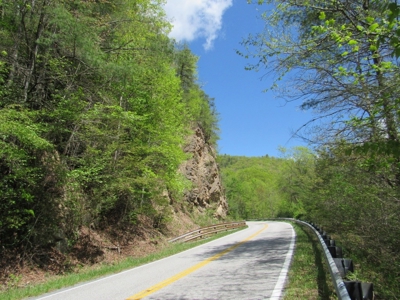 Wooded Off Grid Land Adjoining National Forest, Damascus VA! - image 31