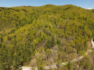 Wooded Off Grid Land Adjoining National Forest, Damascus VA! - image 14