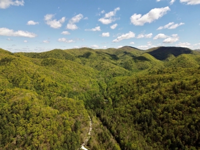 Wooded Off Grid Land Adjoining National Forest, Damascus VA! - image 6