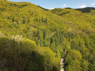 Wooded Off Grid Land Adjoining National Forest, Damascus VA! - image 3