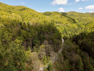 Wooded Off Grid Land Adjoining National Forest, Damascus VA! - image 16