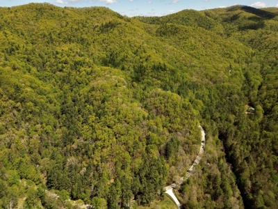 Wooded Off Grid Land Adjoining National Forest, Damascus VA! - image 5
