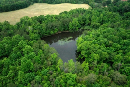 Holly Hill 207 - image 20