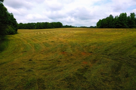 Holly Hill 207 - image 15
