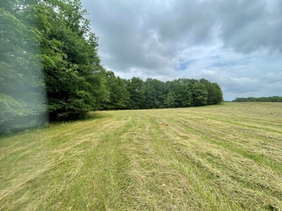 Holly Hill 207 - image 7