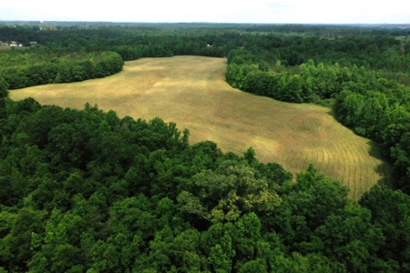 Holly Hill 207 - image 14