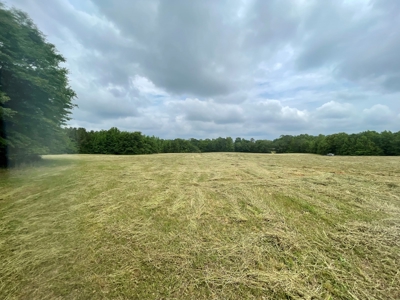 Holly Hill 207 - image 9