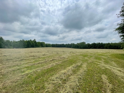 Holly Hill 207 - image 8
