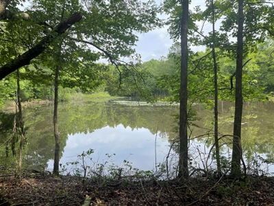 Holly Hill 207 - image 2