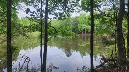 Holly Hill 207 - image 11