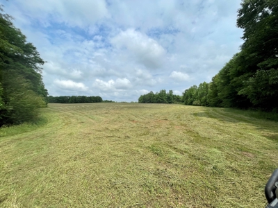 Holly Hill 207 - image 1