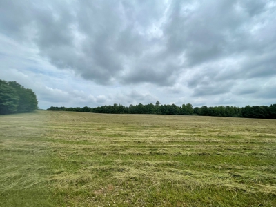 Holly Hill 207 - image 4