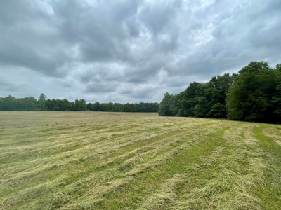 Holly Hill 207 - image 5