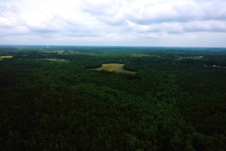 Holly Hill 207 - image 12