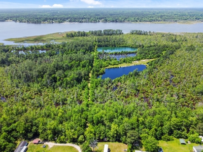 Hunting/Fishing Property for Sale Beaufort County NC - image 6