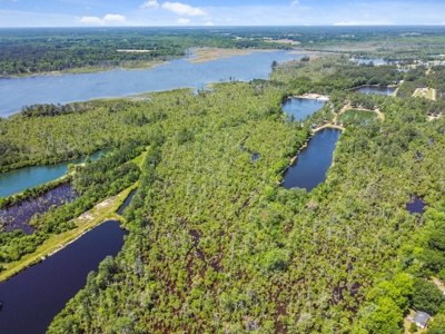 Hunting/Fishing Property for Sale Beaufort County NC - image 8