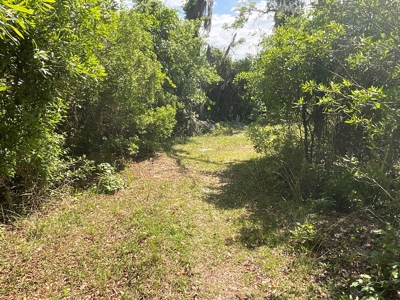 Hunting/Fishing Property for Sale Beaufort County NC - image 26