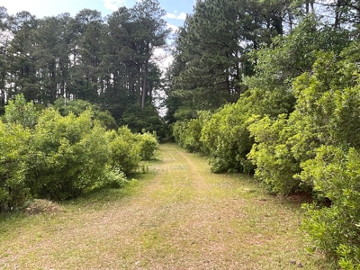 Hunting/Fishing Property for Sale Beaufort County NC - image 34