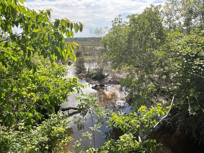 Hunting/Fishing Property for Sale Beaufort County NC - image 36