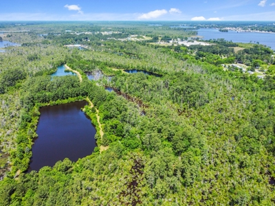 Hunting/Fishing Property for Sale Beaufort County NC - image 17
