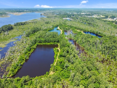 Hunting/Fishing Property for Sale Beaufort County NC - image 16