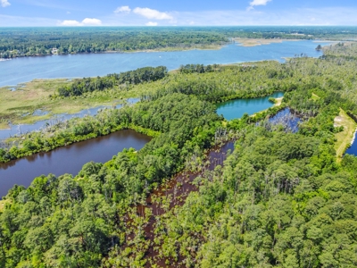 Hunting/Fishing Property for Sale Beaufort County NC - image 15