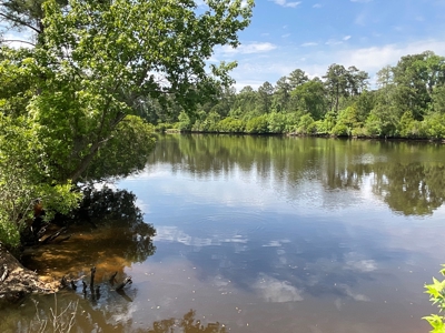 Hunting/Fishing Property for Sale Beaufort County NC - image 24