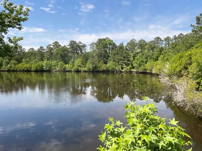 Hunting/Fishing Property for Sale Beaufort County NC - image 25