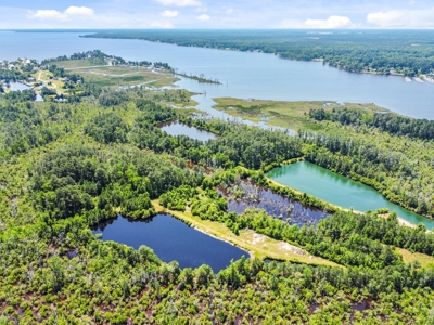 Hunting/Fishing Property for Sale Beaufort County NC - image 9