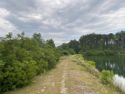 Hunting/Fishing Property for Sale Beaufort County NC - image 47