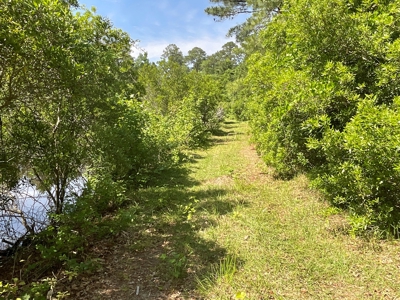 Hunting/Fishing Property for Sale Beaufort County NC - image 28
