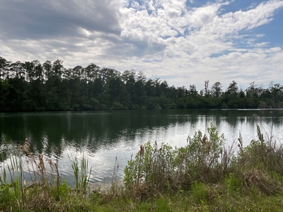 Hunting/Fishing Property for Sale Beaufort County NC - image 38