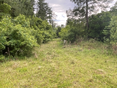 Hunting/Fishing Property for Sale Beaufort County NC - image 40