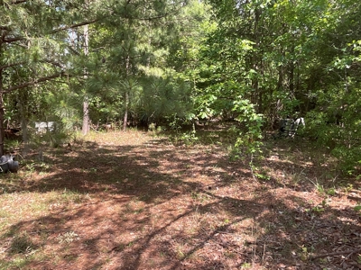 Hunting/Fishing Property for Sale Beaufort County NC - image 27