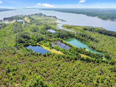 Hunting/Fishing Property for Sale Beaufort County NC - image 10
