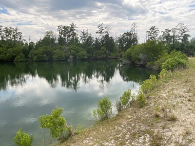 Hunting/Fishing Property for Sale Beaufort County NC - image 50