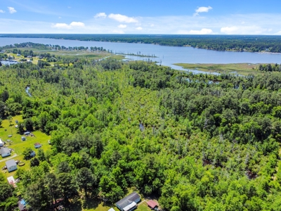 Hunting/Fishing Property for Sale Beaufort County NC - image 3