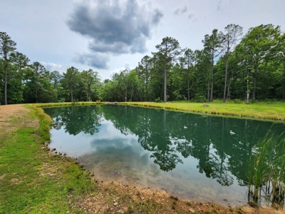 Cedar Lake Cabin - Adjoining National Forest - image 40