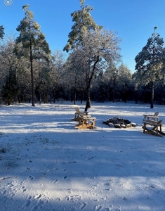 Cedar Lake Cabin - Adjoining National Forest - image 32