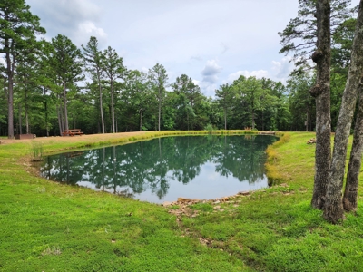 Cedar Lake Cabin - Adjoining National Forest - image 39