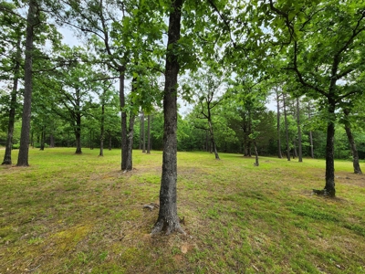 Cedar Lake Cabin - Adjoining National Forest - image 24
