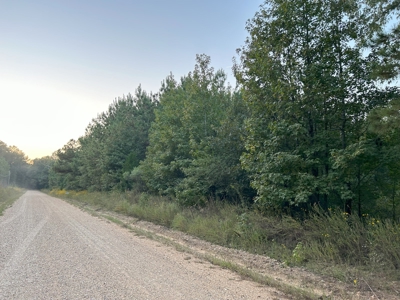 Timber Parcel W/ Utilities on Road near Gurdon, AR for Sale - image 3